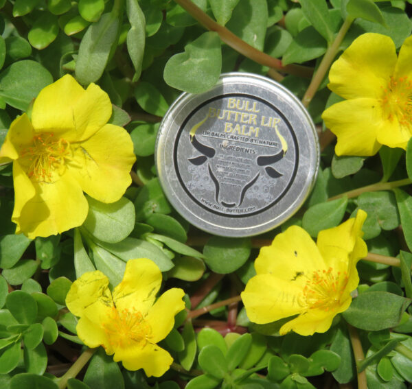 Bull Butter Lip Balm